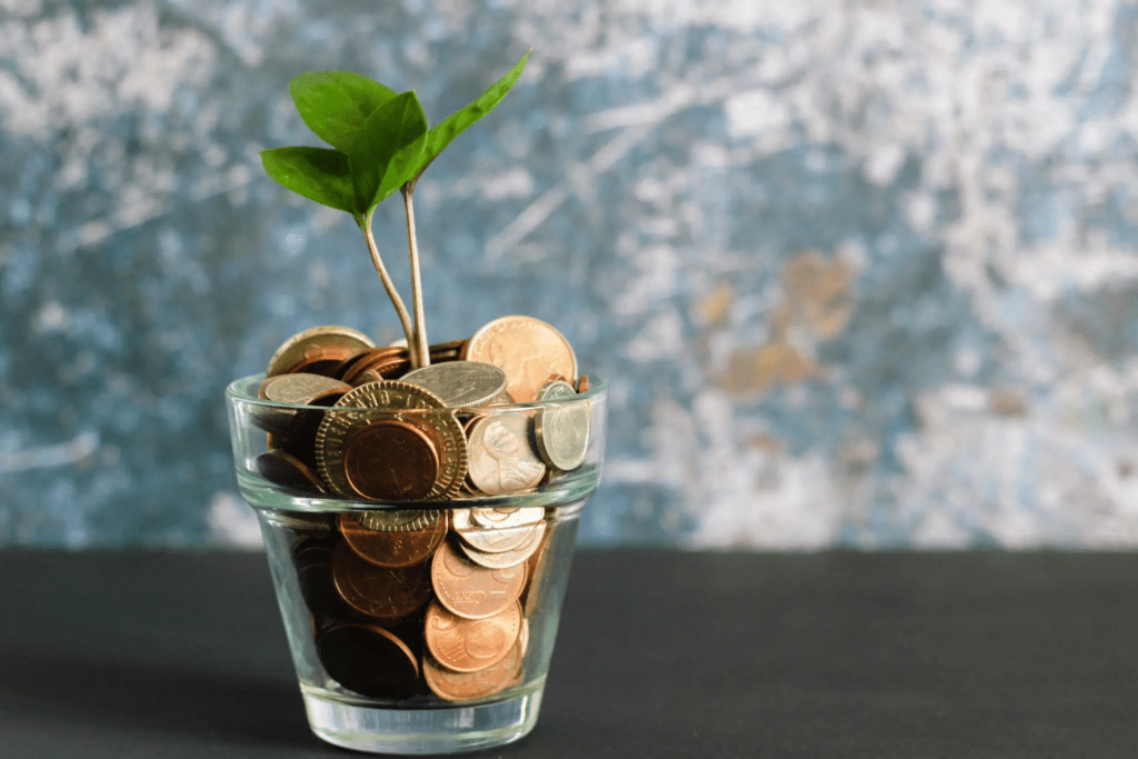 foto van plantje in potje met geld